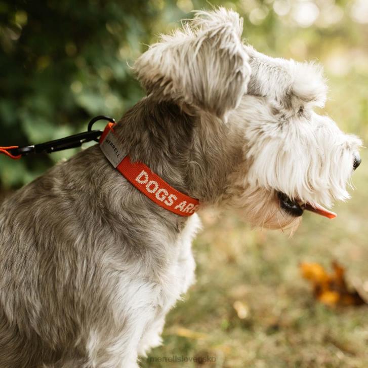 Merrell obojok pre psa (jaf26691-629) príslušenstvo 6T64267 poinciana unisex