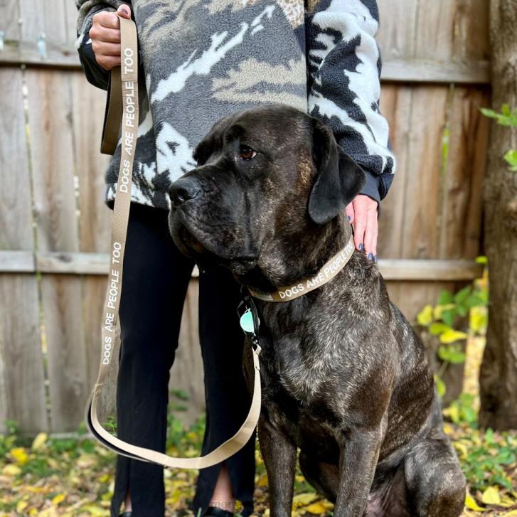 Merrell vodítko pre psa (jaf26689-176) príslušenstvo 6T64460 sépiový odtieň unisex